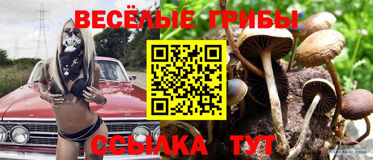 КОКАИН  Тихорецк  Альфа ПВП СК   Вход с VPN  Мефедрон кристаллы  Вейп ТГК  Лсд 25  Конопля  ГАШ 