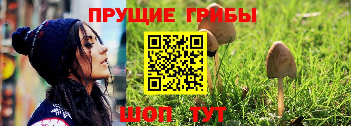 Псилоцибиновые грибы GOLDEN TEACHER  Вход с VPN  Тихорецк 